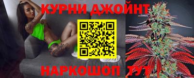 сатива Лесосибирск