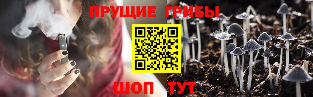 Зерноград  Галлюциногенные грибы Psilocybine cubensis  Вход с VPN  купить наркотик  Псилоцибиновые грибы мухоморы 